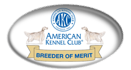 English Setter Breeder of Merit